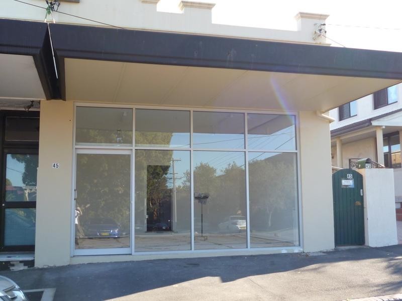 45 Andover Street, Carlton NSW 2218