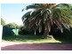 21 Colvin Avenue, Carlton NSW 2218