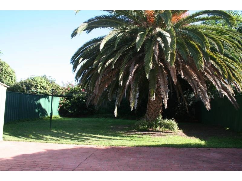 21 Colvin Avenue, Carlton NSW 2218