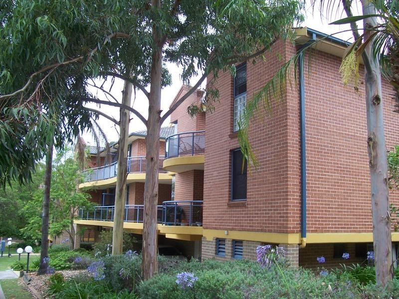 8 Shaftesbury Street, Carlton NSW 2218