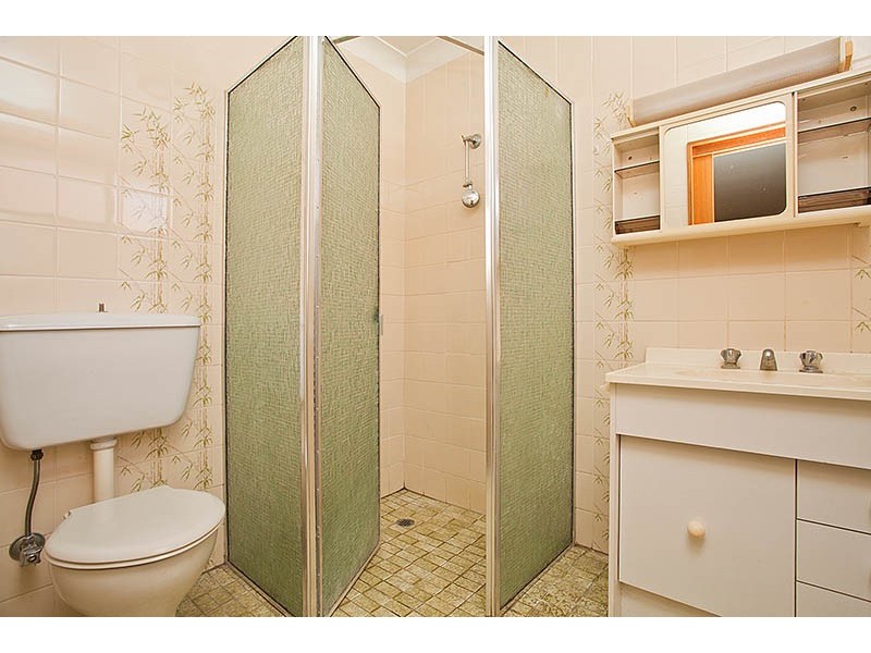 102 Mill Street, Carlton NSW 2218