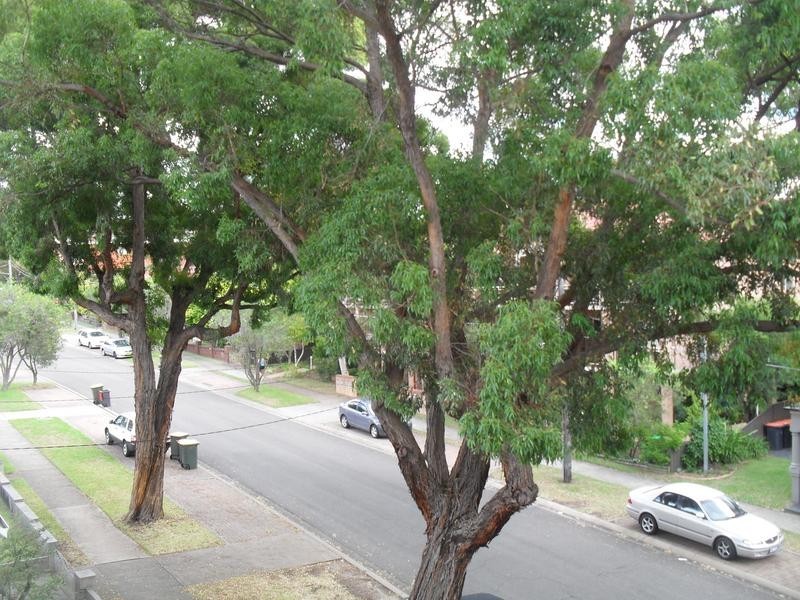 7 & 8/8-10 Bembridge Street, Carlton NSW 2218