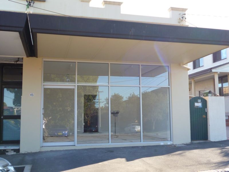 45 Andover Street, Carlton NSW 2218