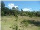 Martinsville NSW 2265