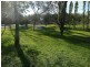 Cooranbong NSW 2265