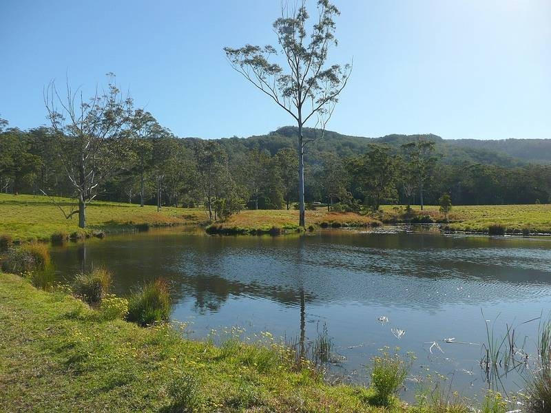 Martinsville NSW 2265