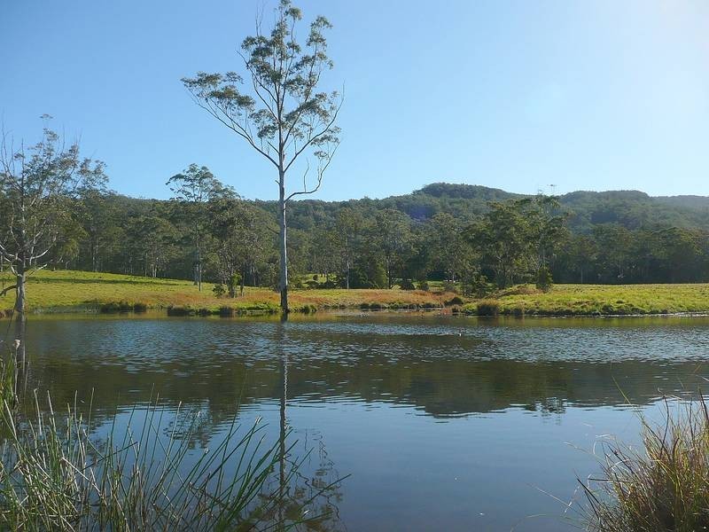 Martinsville NSW 2265