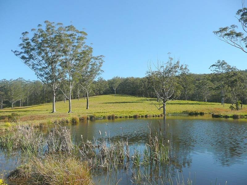 Martinsville NSW 2265