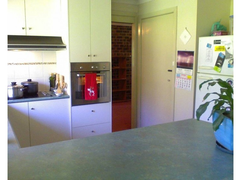 469 Martinsville Road, Martinsville NSW 2265