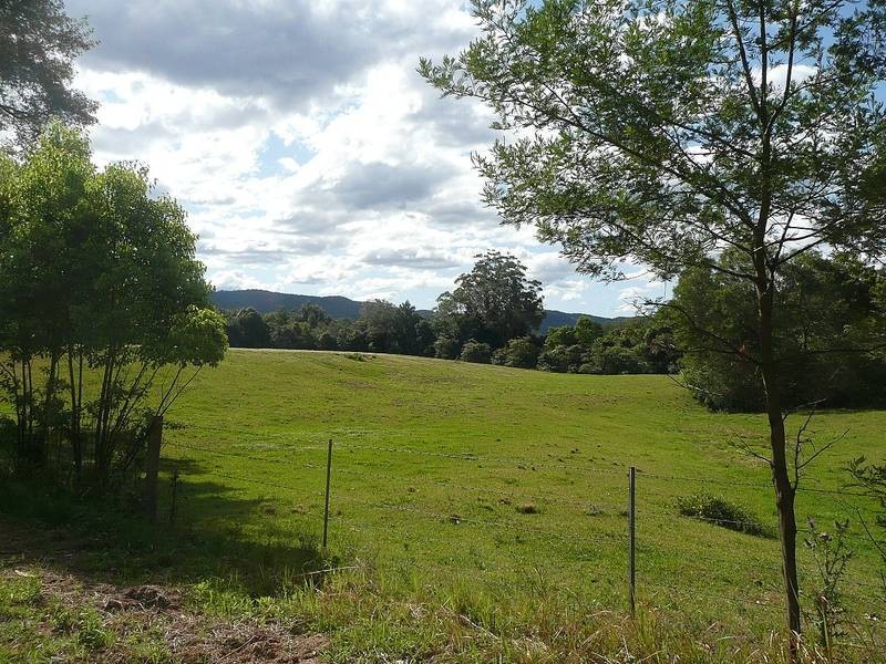 Martinsville NSW 2265