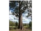 Martinsville NSW 2265