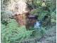 Martinsville NSW 2265