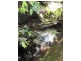 Martinsville NSW 2265