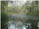 Freemans Waterhole NSW 2323