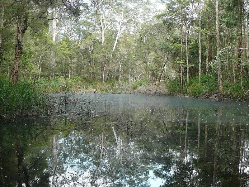Freemans Waterhole NSW 2323