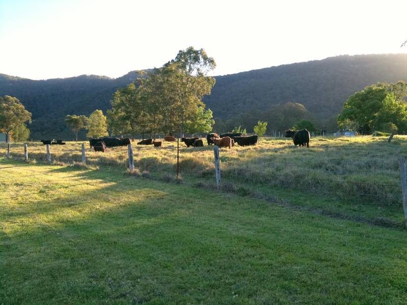 Brunkerville NSW 2323