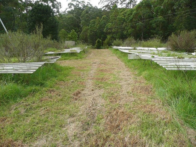 Freemans Waterhole NSW 2323