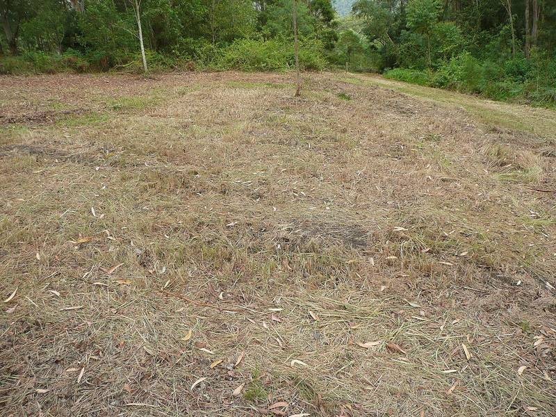 Freemans Waterhole NSW 2323