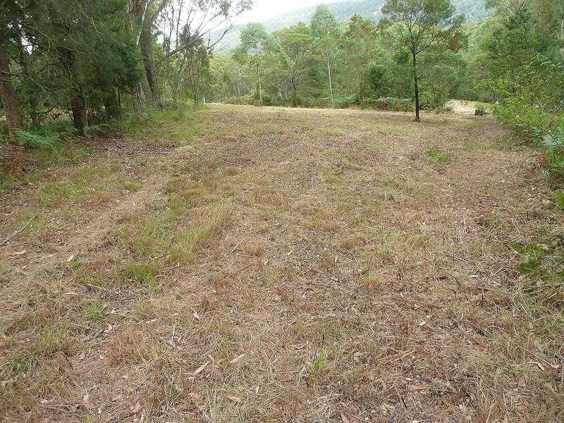 Freemans Waterhole NSW 2323