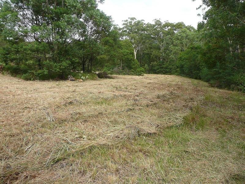 Freemans Waterhole NSW 2323