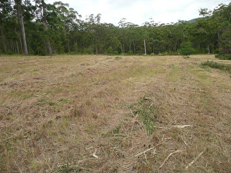 Freemans Waterhole NSW 2323