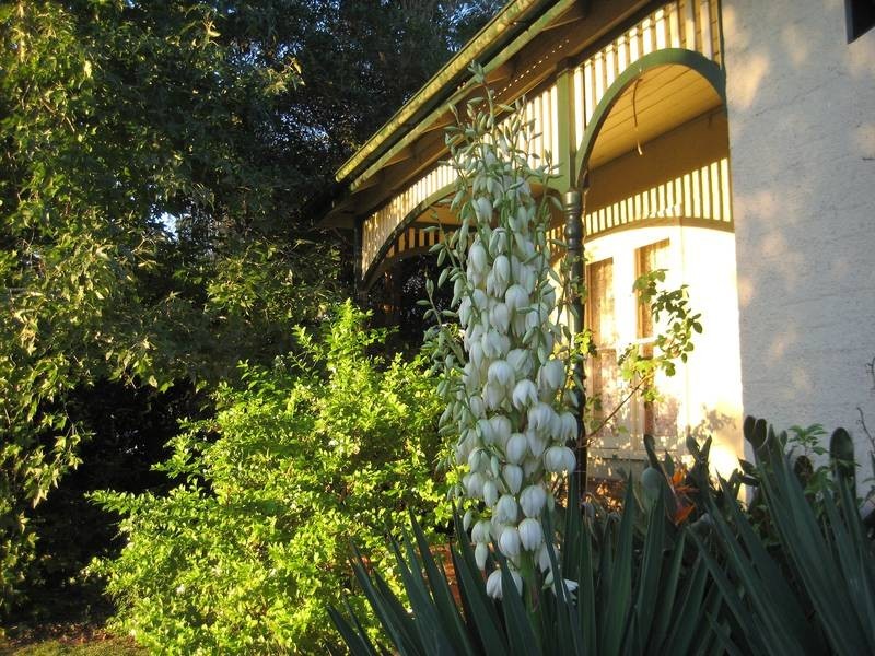 Cooranbong NSW 2265