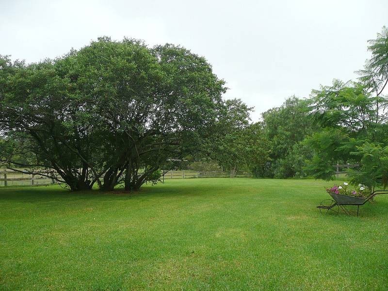 Cooranbong NSW 2265