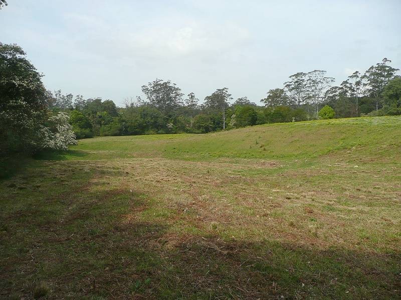 Martinsville NSW 2265