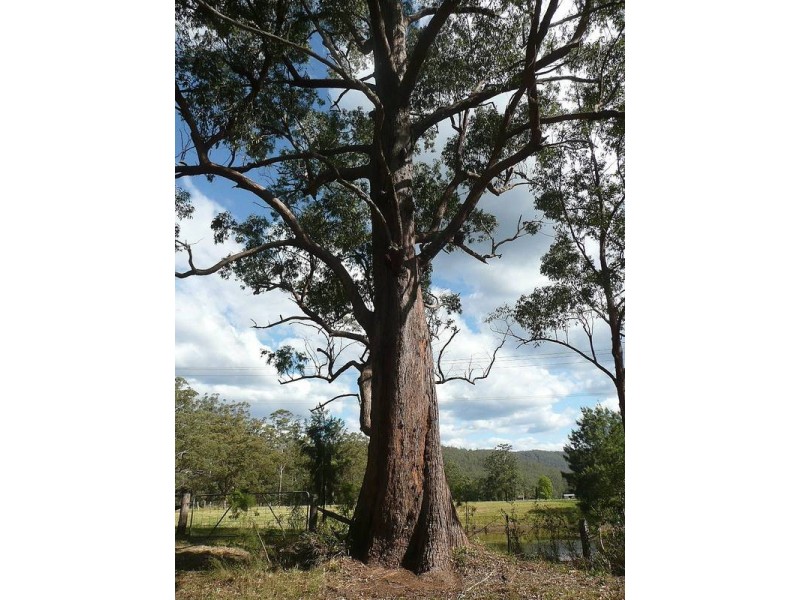 Martinsville NSW 2265