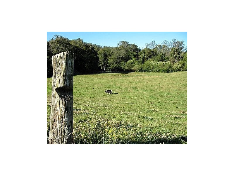 Martinsville NSW 2265