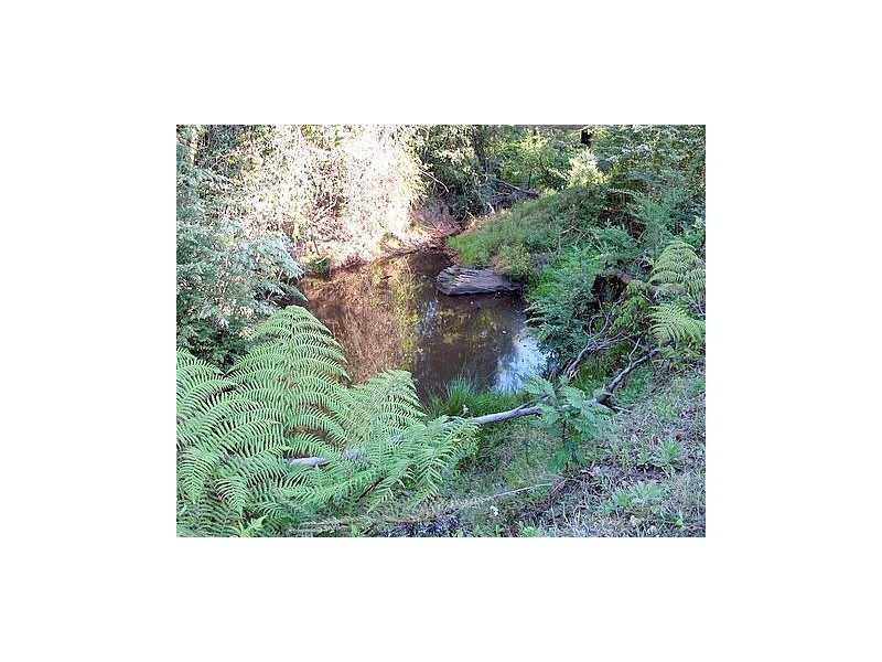 Martinsville NSW 2265