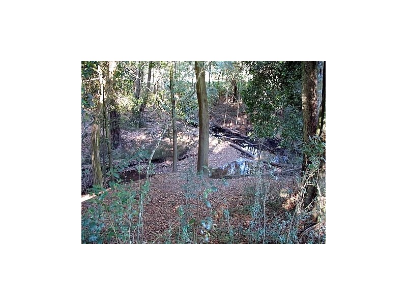 Martinsville NSW 2265