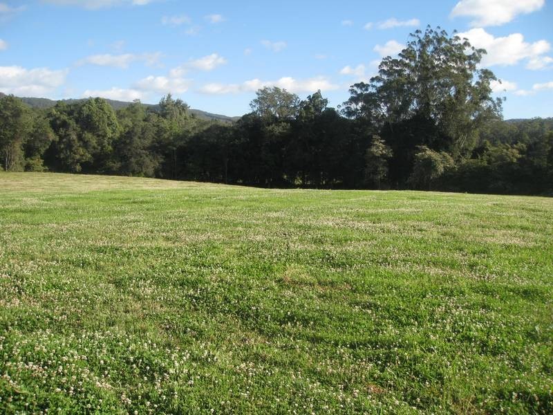 Martinsville NSW 2265