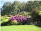 Cooranbong NSW 2265