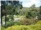 Cooranbong NSW 2265
