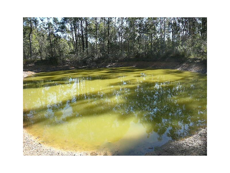 Elrington NSW 2325