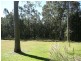 Elrington NSW 2325