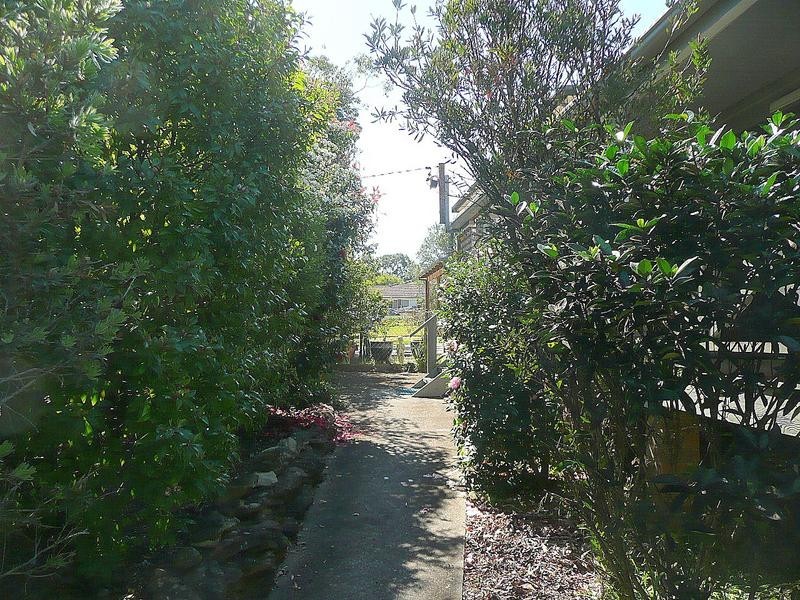 61 Deaves Road, Cooranbong NSW 2265