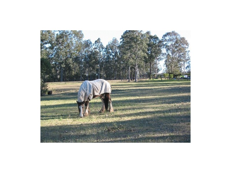 Elrington NSW 2325