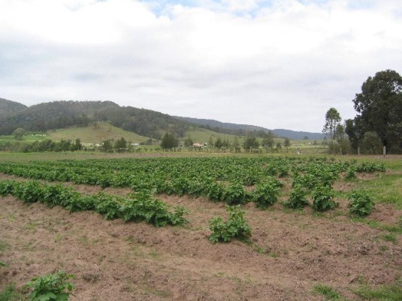 Mount Vincent NSW 2323