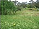 Cooranbong NSW 2265