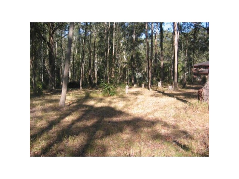 Martinsville NSW 2265