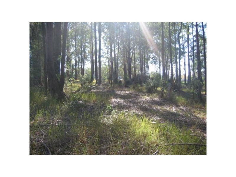 Martinsville NSW 2265