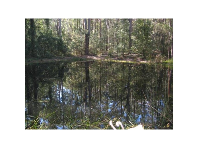 Martinsville NSW 2265