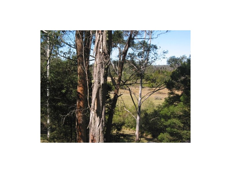 51 Mahers ROAD, Martinsville NSW 2265