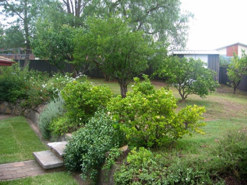 21 Meyers Crescent, Cooranbong NSW 2265