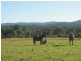 Cooranbong NSW 2265