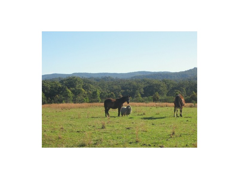 Cooranbong NSW 2265