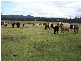 Quorrobolong NSW 2325