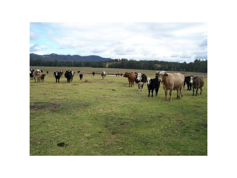 Quorrobolong NSW 2325
